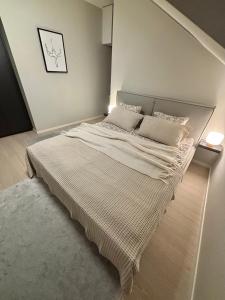 Oa cozy roofaparment with sauna