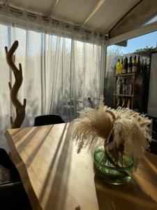 Ulivi Hotel & Residence