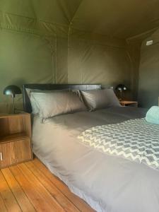 Askop Tented Escape & Adventure