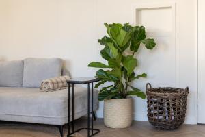 Walk to Coolest Streets! A Stylish, Central Oasis - Pool & Garage