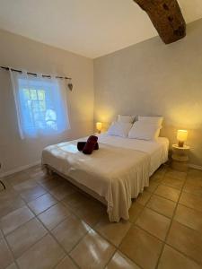 Les 2 voûtes - Mas provençal pour 10 personnes