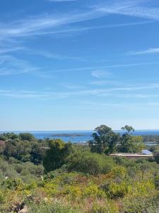 Villa Marianna img61