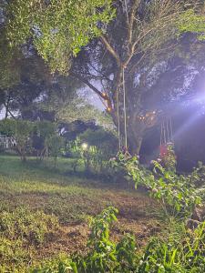 Villa Marianna img48