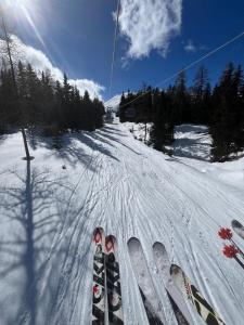 Holiday home Gröbming Ski Mountains