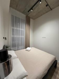 Modern apartment near old town