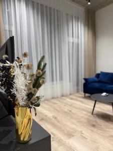 Modern apartment near old town