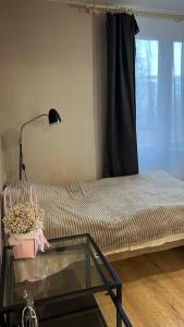 Transylvania Trails Cabin