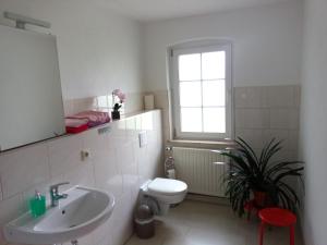 Ferienwohnung Falkennest