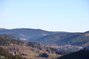 Ferienwohnung Seeblick Nr 5, 2 Zi-Bärental, Feldberg