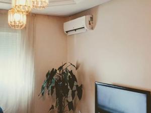 charming apartment salé