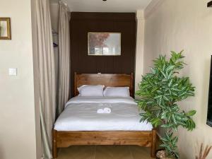 Naze L Antique NearJKIA & SGR