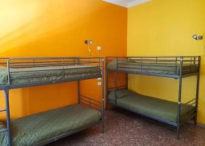 pisa train station hostel