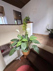 Casa com piscina no Campo DUna