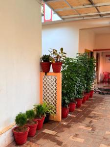 Epic inn villa 3 bhk with kitchen Varkala cliff