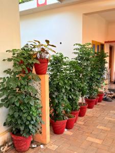 Epic inn villa 3 bhk with kitchen Varkala cliff