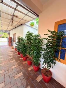 Epic inn villa 3 bhk with kitchen Varkala cliff