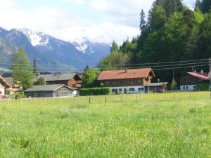 Holzhaus-Lang