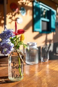 Casa das flores - Paraiso no Vale das Videiras, com natureza, canto dos pássaros e perto do centrinho