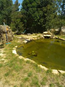 Sous un chêne bicentenaire