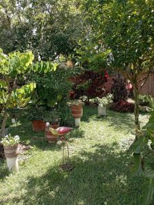 Villa Jacky Gigante Huila Casa de Campo