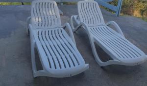 Pure nature lovely view house