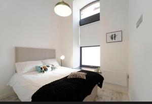 Central Leeds 2 Bed Apartment Sleeps 6