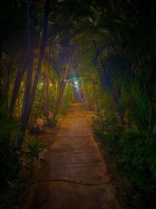 Selva Partners Tamarindo