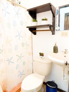 Selva Partners Tamarindo