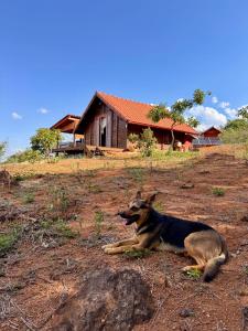 Chalé Beira Serra - Minicasa ecológica na Canastra
