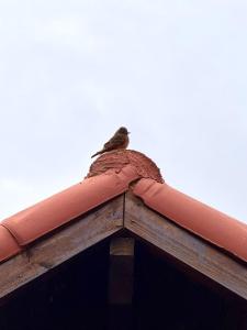 Chalé Beira Serra - Minicasa ecológica na Canastra