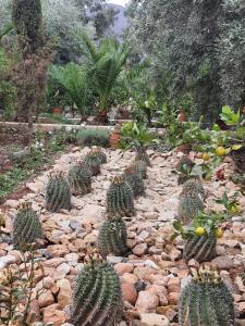 Sel d Ailleurs, Ouirgan - adults only