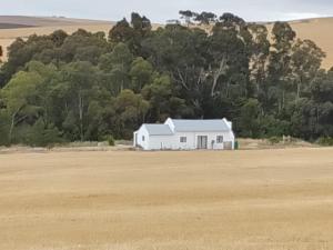 Hillside River House