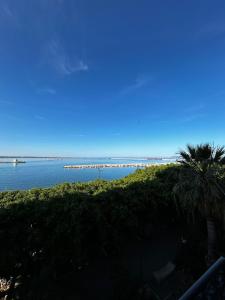 Il Mozzo e LAmmiraglio