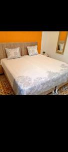 La coquette de sidi bousaid