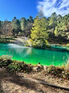Cabaña Ananda Río Mundo