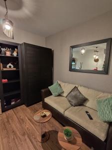 Studio Stankovic Royal Towers 326