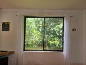 El Diamante - Colibri