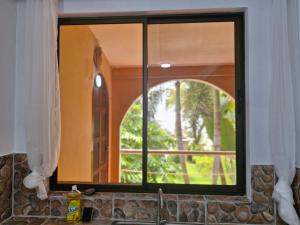 El Diamante - Colibri