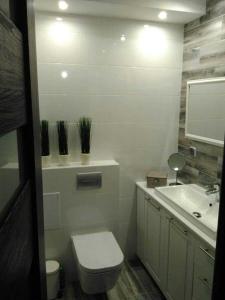 Bieszczady Apartament Gniazdo Baligród