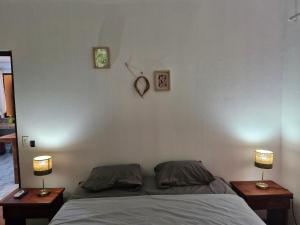 El Diamante - Colibri