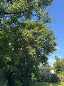 Casa quinta ideal para descansar