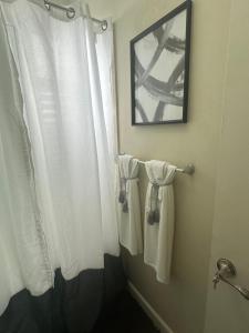 Colorful luxe apartment near the heart of Kingston