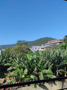 Praia cachoeira do bom