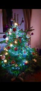 Une bulle de bien être au rendez vous