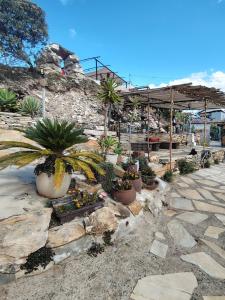 Recanto das Pedras hospedagem- Loft Container