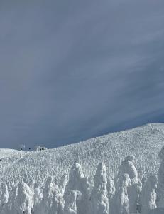 蔵王ペンションKomorebi