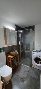 Appartement cosy a Erlach - Lac de Bienne