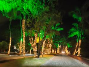 Apartamento Praia do Forte