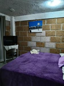 Casa Ticitl temazcalli