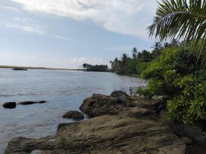 Gin River View Point